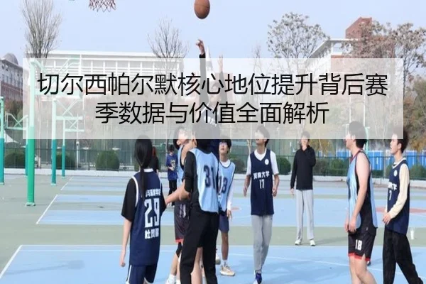 切尔西帕尔默核心地位提升背后赛季数据与价值全面解析