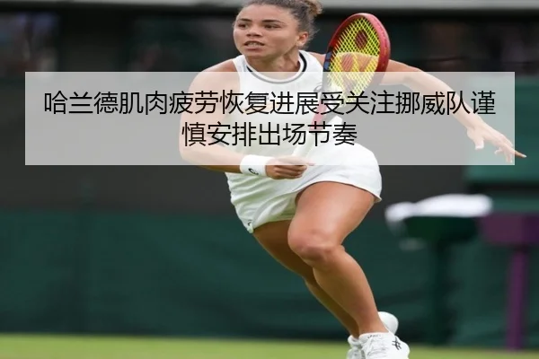 哈兰德肌肉疲劳恢复进展受关注挪威队谨慎安排出场节奏