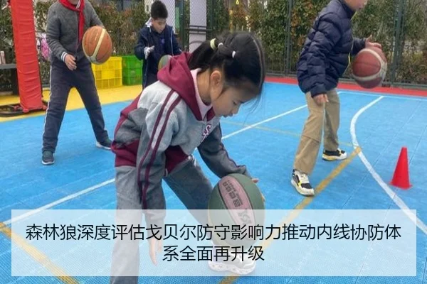 森林狼深度评估戈贝尔防守影响力推动内线协防体系全面再升级
